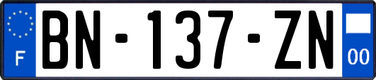 BN-137-ZN