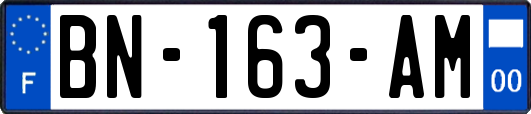 BN-163-AM