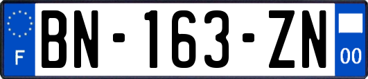 BN-163-ZN