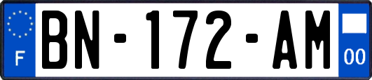 BN-172-AM