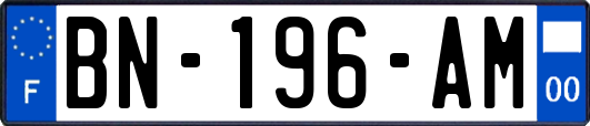 BN-196-AM