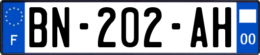 BN-202-AH