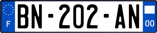 BN-202-AN