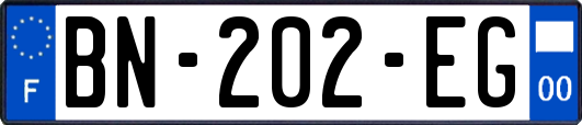 BN-202-EG