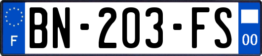 BN-203-FS