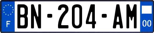 BN-204-AM