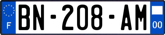 BN-208-AM