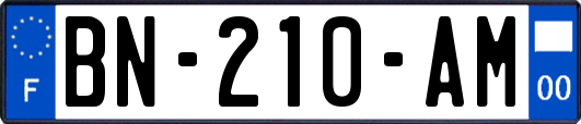 BN-210-AM