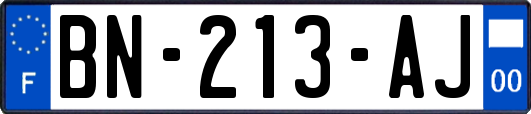 BN-213-AJ