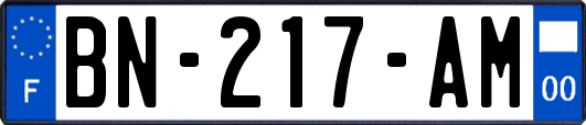 BN-217-AM