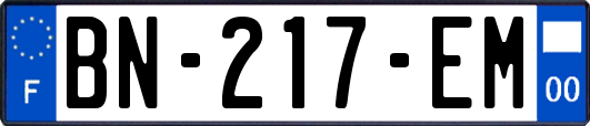 BN-217-EM