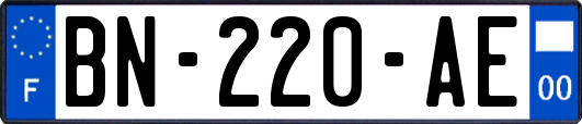 BN-220-AE