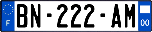 BN-222-AM