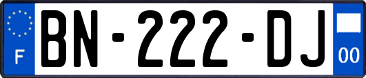 BN-222-DJ