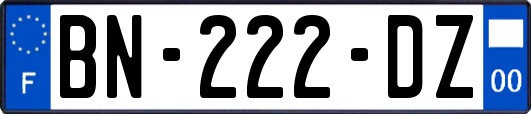 BN-222-DZ