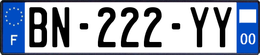 BN-222-YY