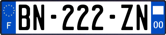 BN-222-ZN