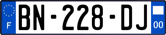 BN-228-DJ