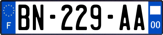 BN-229-AA