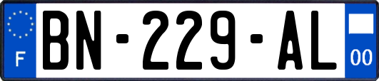 BN-229-AL