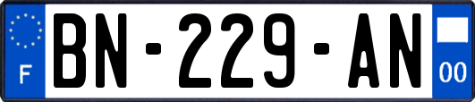 BN-229-AN