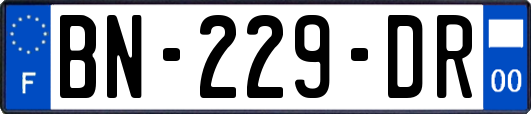 BN-229-DR