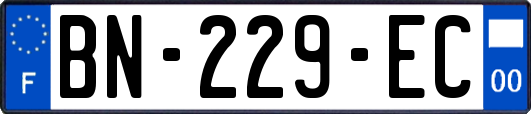 BN-229-EC