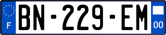 BN-229-EM
