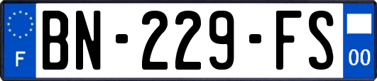 BN-229-FS