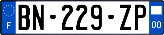 BN-229-ZP