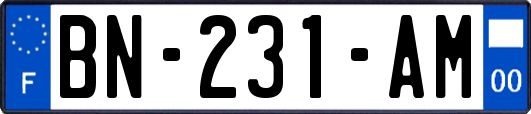 BN-231-AM