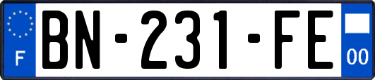 BN-231-FE