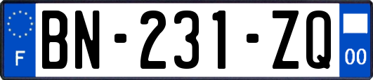 BN-231-ZQ