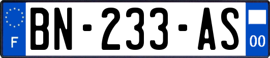 BN-233-AS