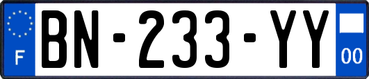 BN-233-YY