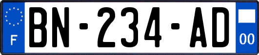 BN-234-AD