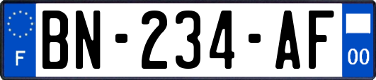 BN-234-AF