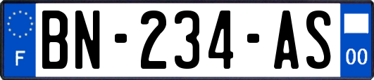 BN-234-AS