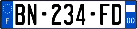 BN-234-FD