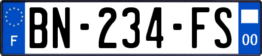 BN-234-FS