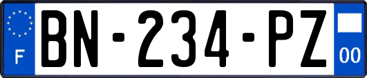 BN-234-PZ