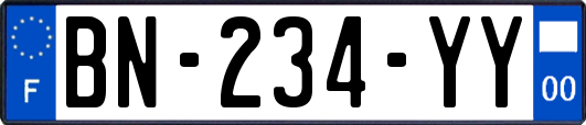 BN-234-YY