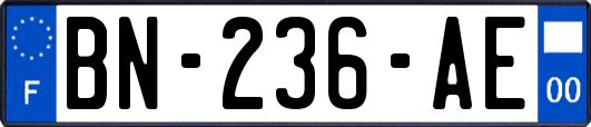 BN-236-AE