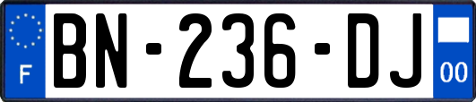 BN-236-DJ