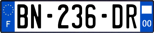 BN-236-DR
