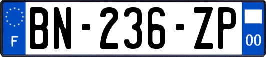 BN-236-ZP