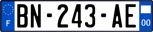 BN-243-AE