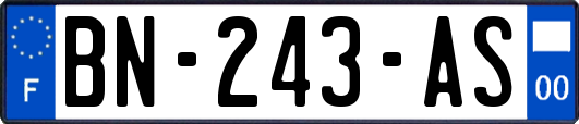 BN-243-AS