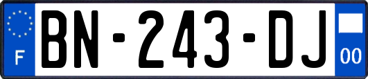 BN-243-DJ