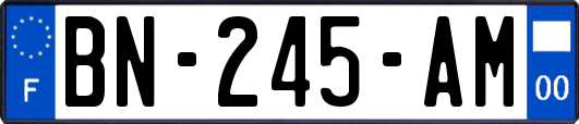 BN-245-AM